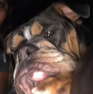 Meet your Posher, Jocelyn